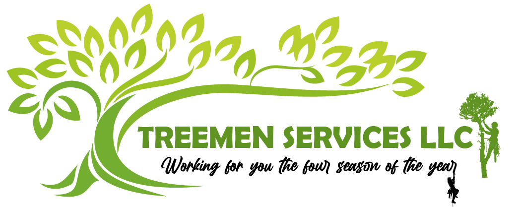 Treemen Services LLC